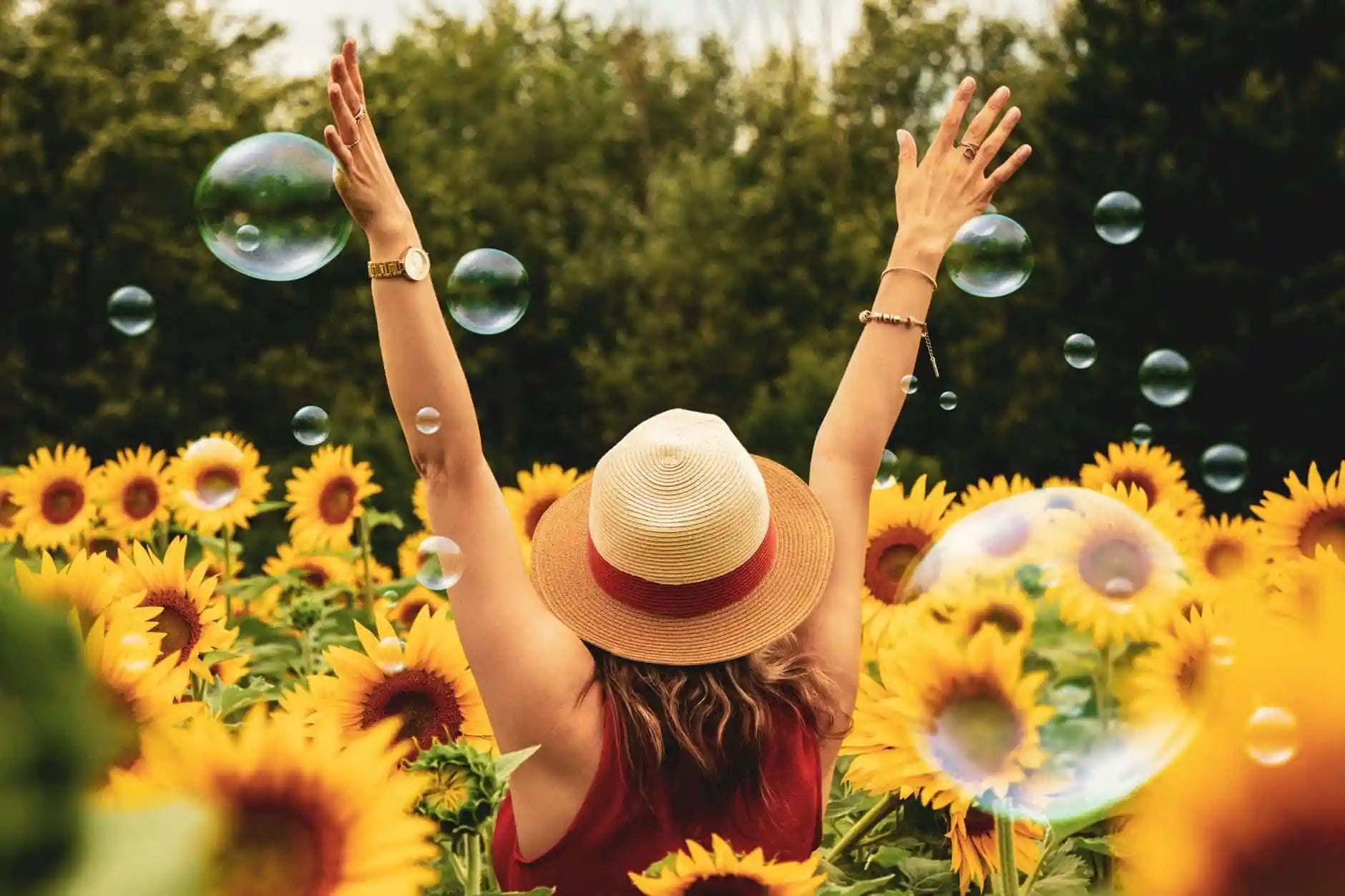 Breathe Easy: How Cleaner Air Can Transform Your Happiness and Success